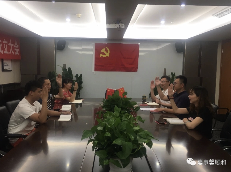 公司党支部成立